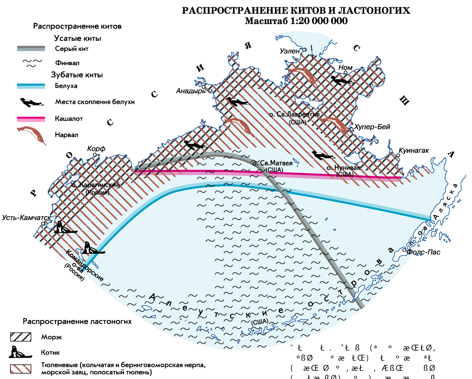 (Bering Sea)